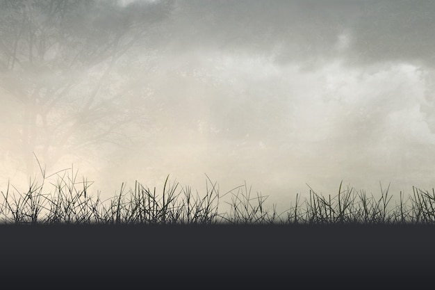 奇妙的植物有那些